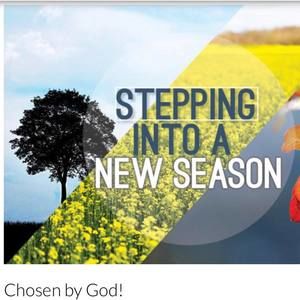 Meet your Posher, Vivian